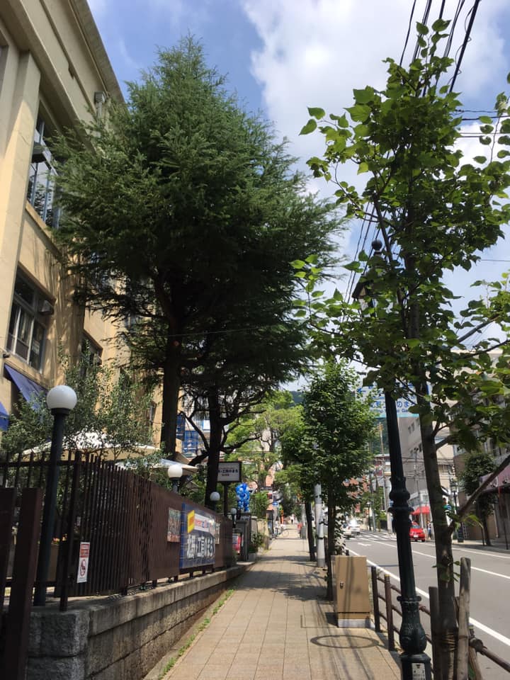 旧北野小学校にて