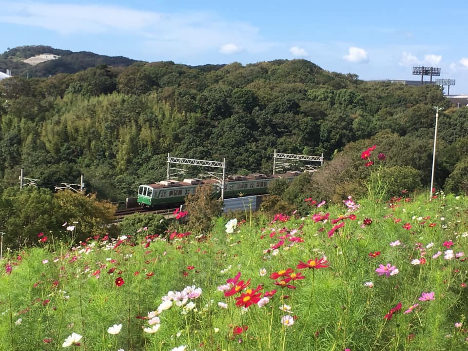 No.74 名谷コスモスレッド