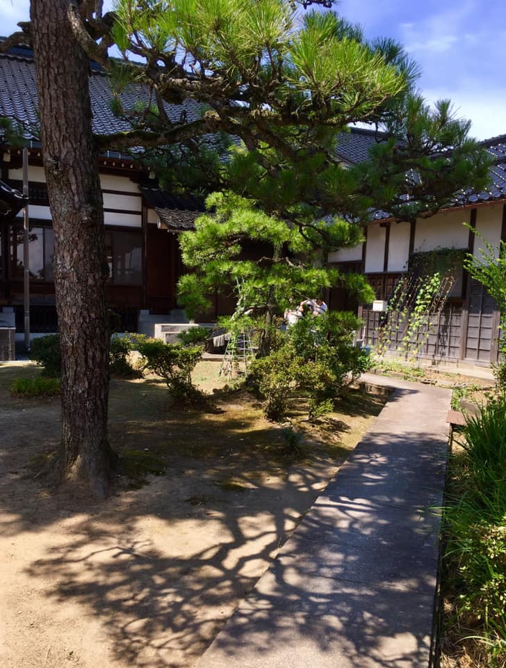 心洗われる真夏のひと時