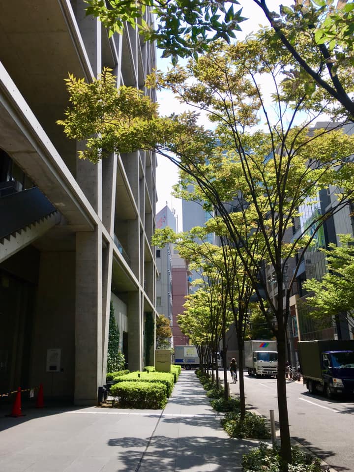 チャスカ茶屋町の建築美と緑化