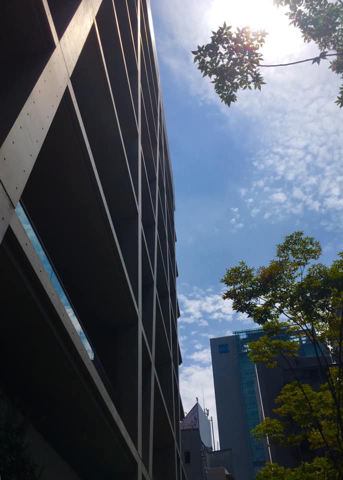 チャスカ茶屋町の建築美と緑化