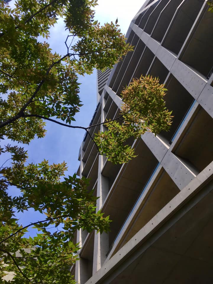 チャスカ茶屋町の建築美と緑化