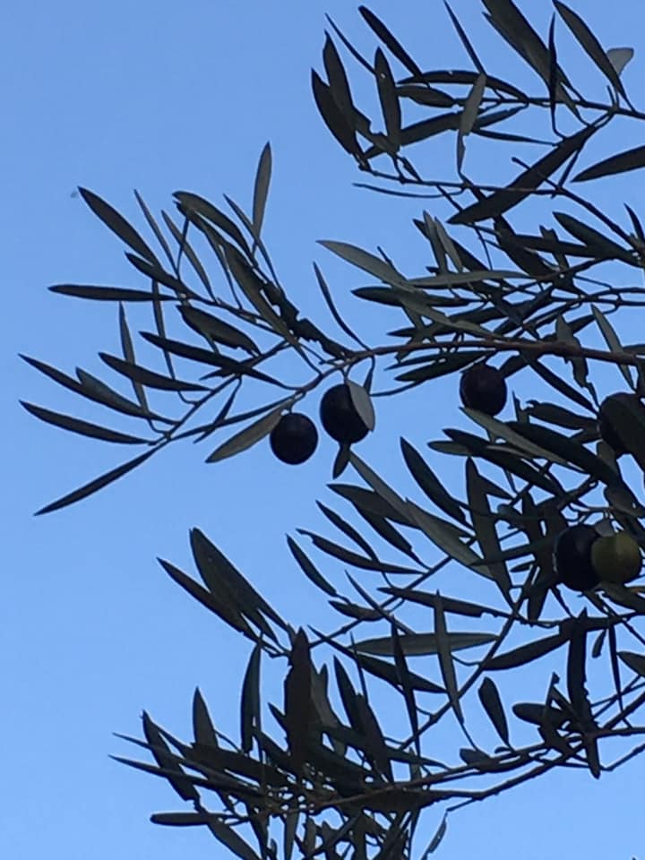 ハーバーランド跳ね橋