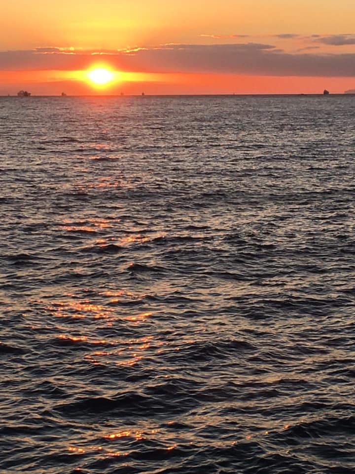 海峡ブルー&垂水アプリコット