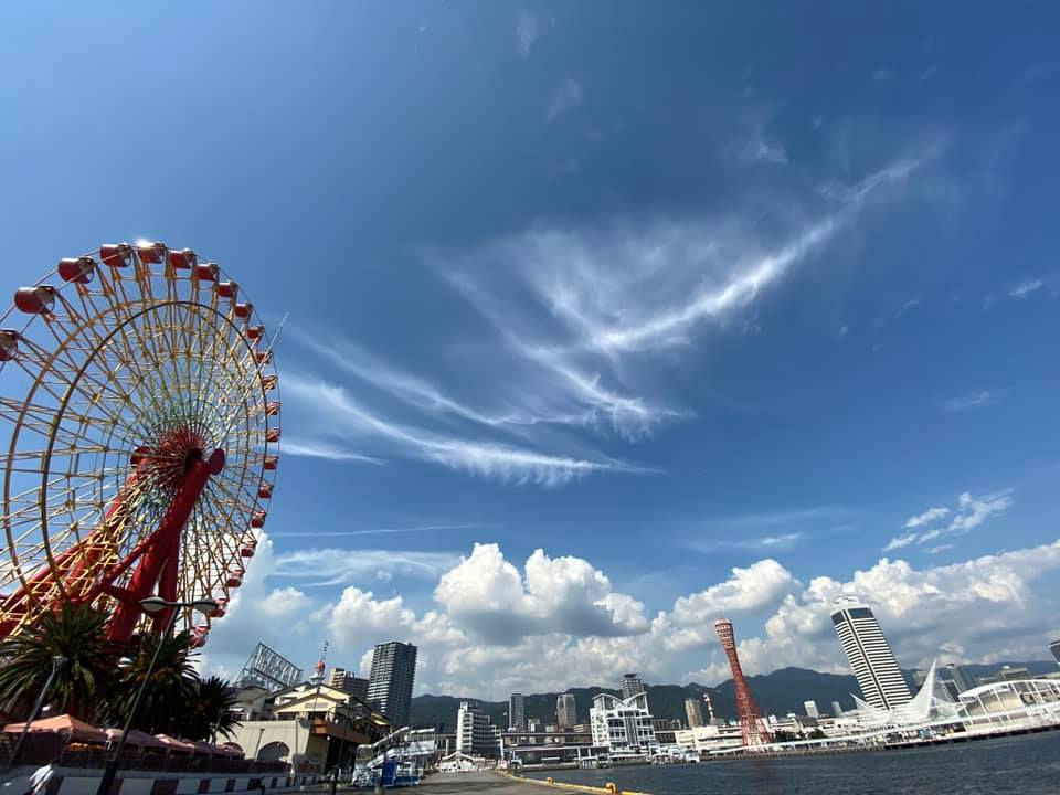 2019年に出会った美しい青