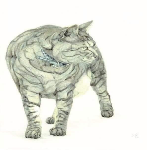 【本店】神戸在住の色鉛筆作家、下田健太さんの個展を開催いたします。