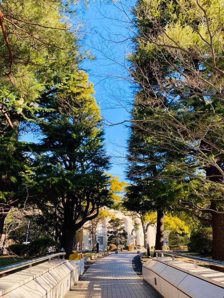 Kobe IＮK物語の眼でみた神戸大学